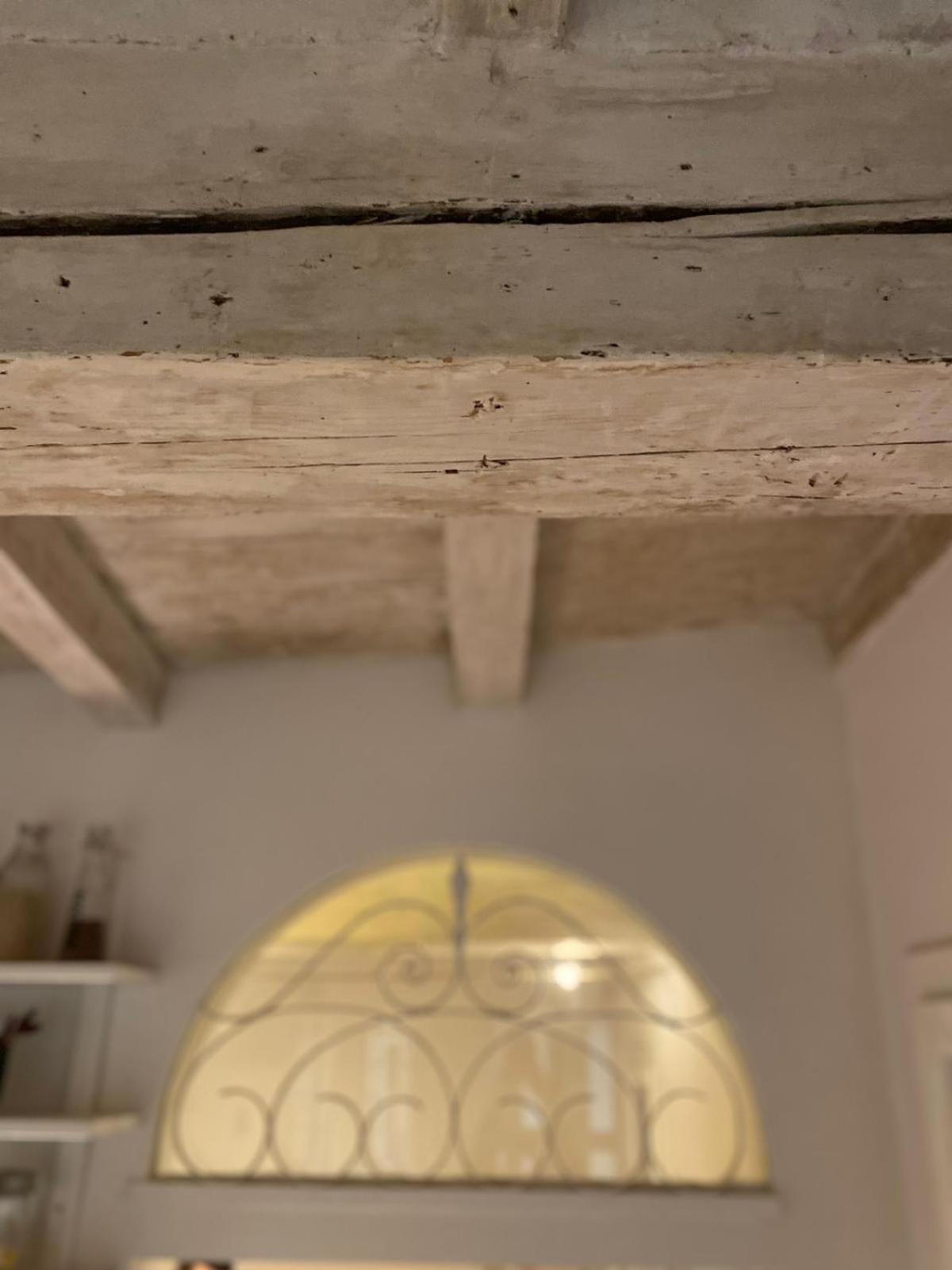 Apartamento Casina Centotrecento Bolonia Exterior foto